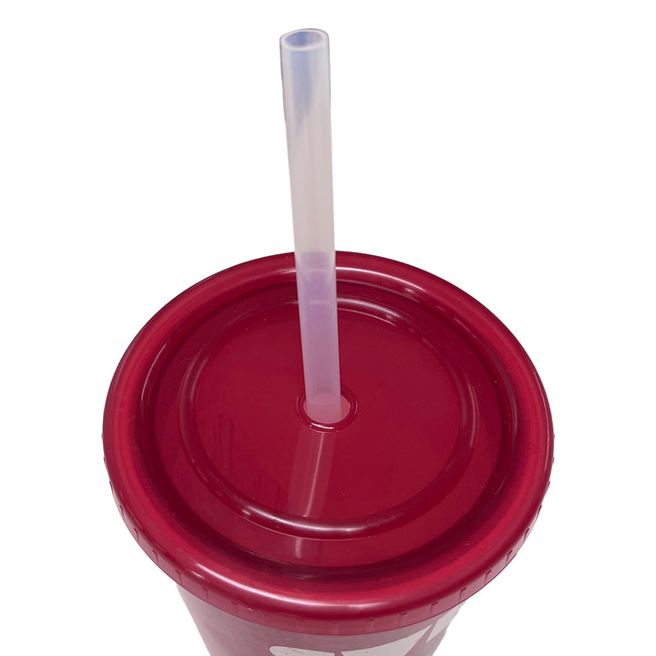 Sweep Dog of Rock - 350ml Insulated Travel Cup with Straw-Sooty's Shop