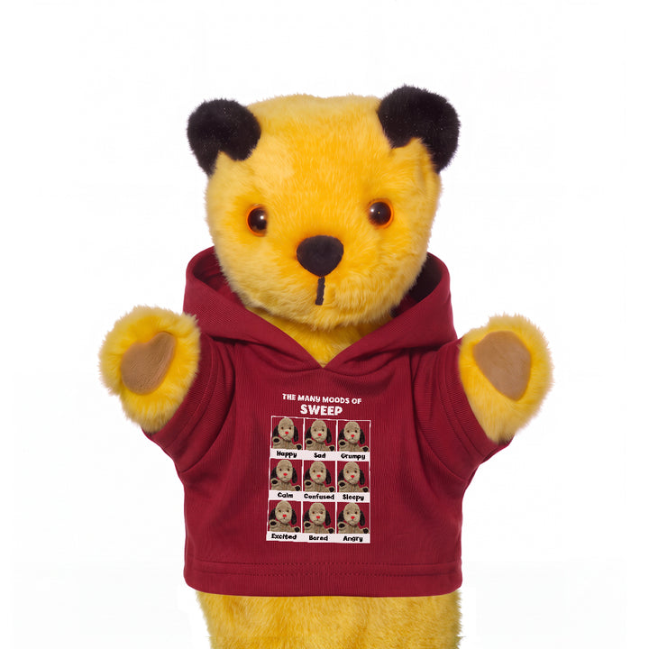 Sooty The Many Moods Of Sweep Mini Hoodie-Sooty's Shop