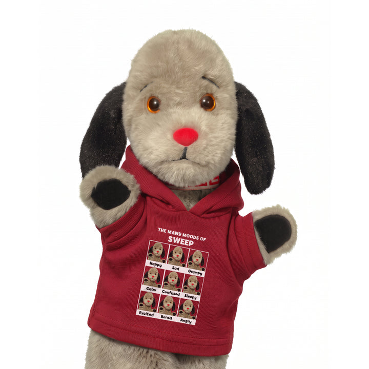 Sooty The Many Moods Of Sweep Mini Hoodie-Sooty's Shop