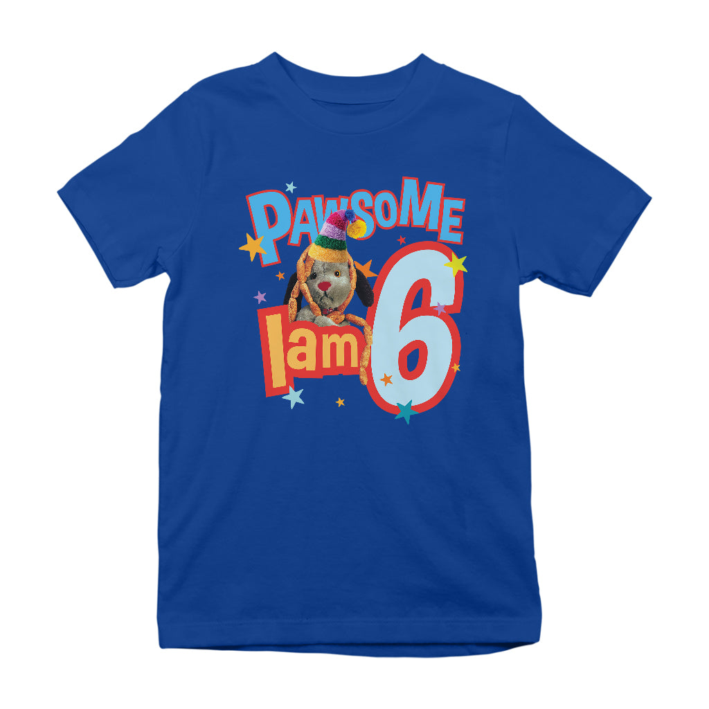 Sweep Pawsome 3rd - 8th Birthday Kid's T-Shirt-Sooty's Shop