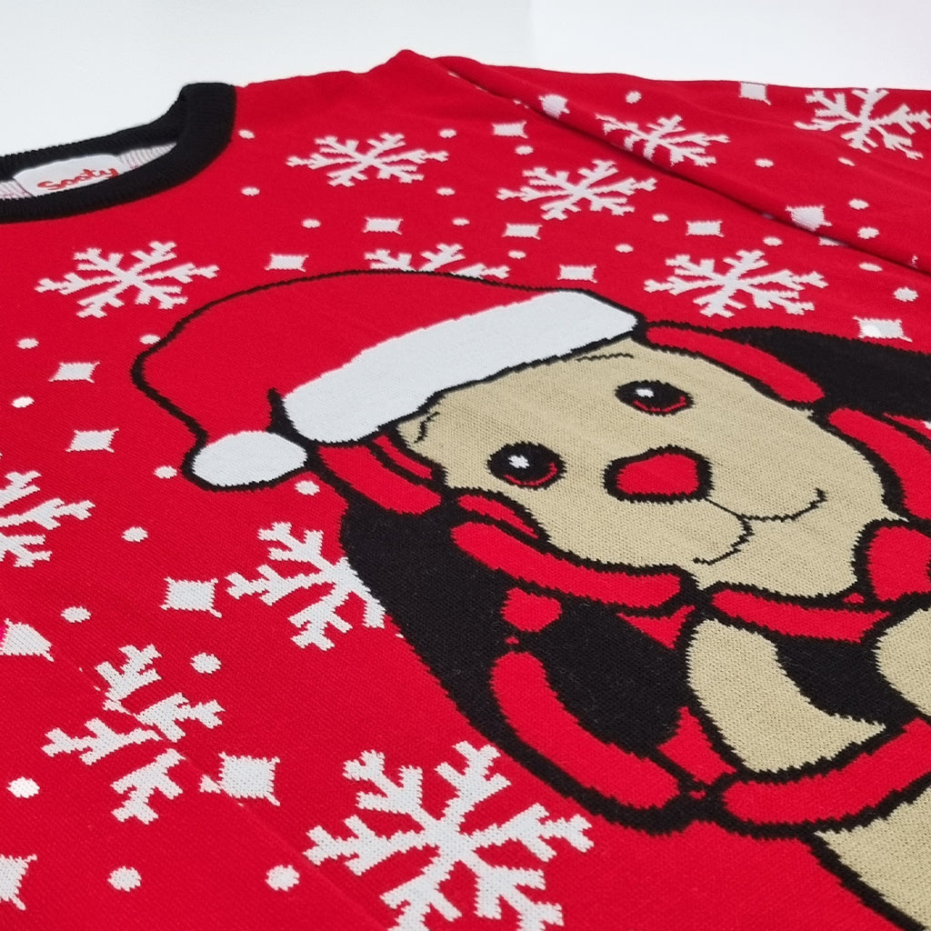 Sweep Christmas Jumper - Adults-Sooty's Shop