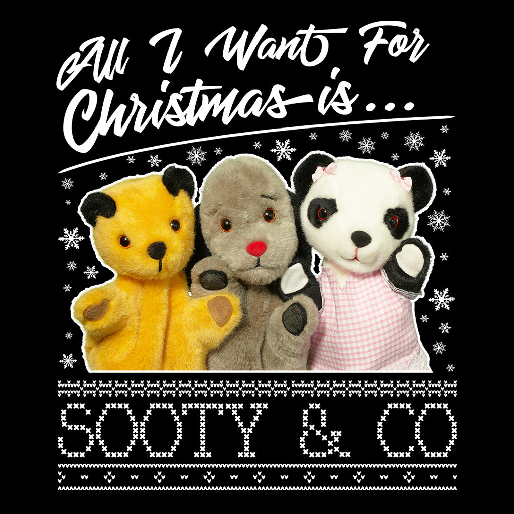 Sooty Christmas All I Want For Christmas Is Sooty And Co Kids Sweatshirt