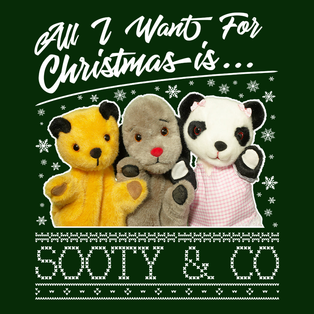 Sooty Christmas All I Want For Christmas Is Sooty And Co Women's Hooded Sweatshirt