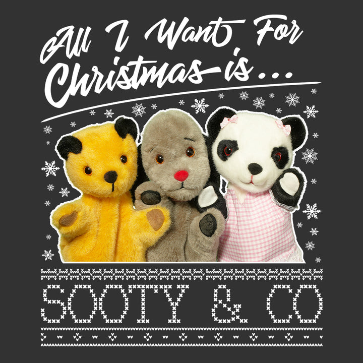 Sooty Christmas All I Want For Christmas Is Sooty And Co Kids Hooded Sweatshirt