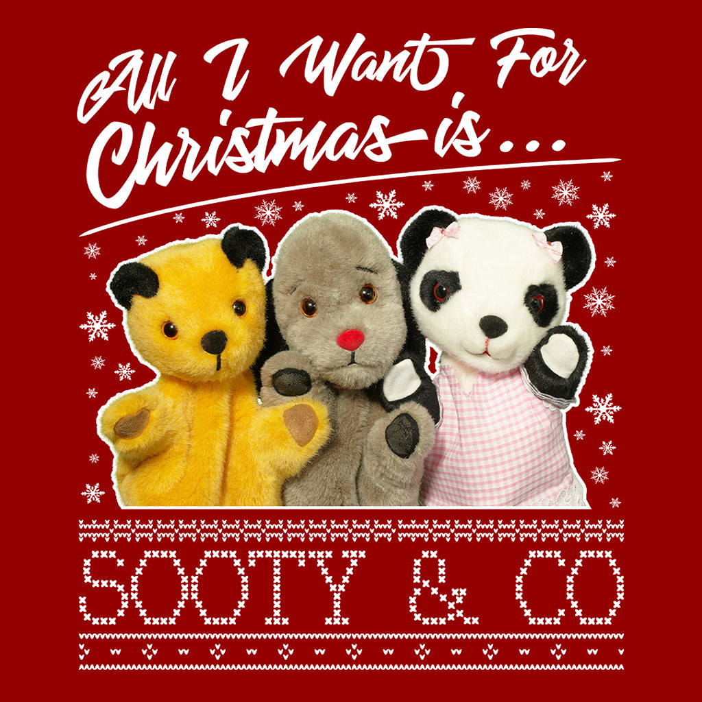 Sooty Christmas All I Want For Christmas Is Sooty And Co Men's Sweatshirt