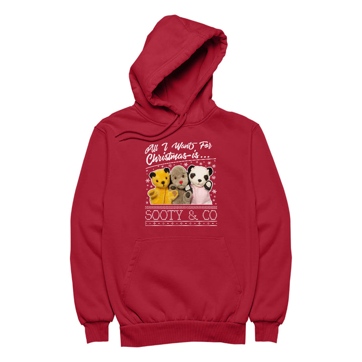 Sooty Christmas All I Want For Christmas Is Sooty And Co Men's Hooded Sweatshirt