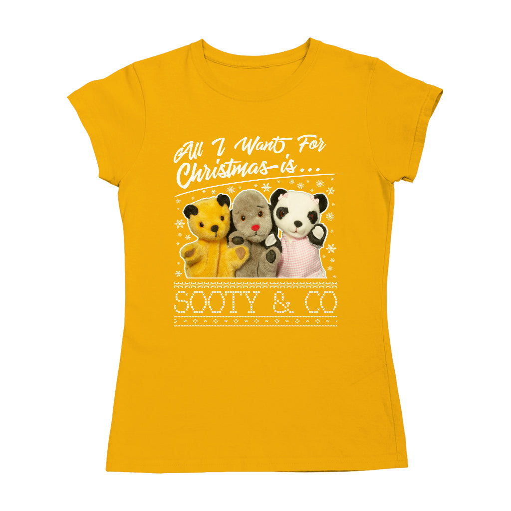 Sooty Christmas All I Want For Christmas Is Sooty And Co Women's T-Shirt