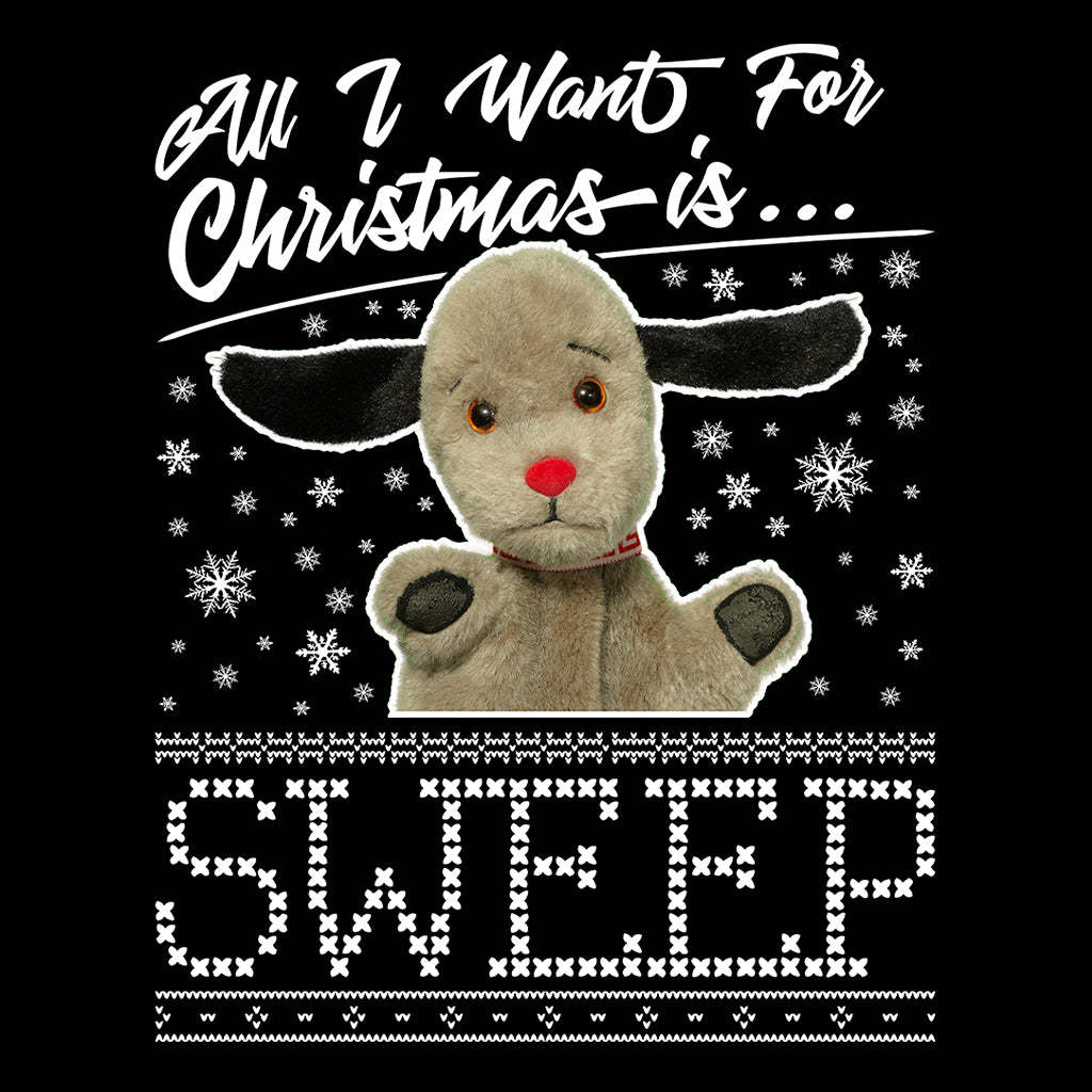 Sooty Christmas All I Want For Christmas Is Sweep Women's Sweatshirt