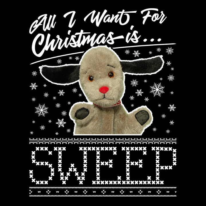 Sooty Christmas All I Want For Christmas Is Sweep Kids T-Shirt
