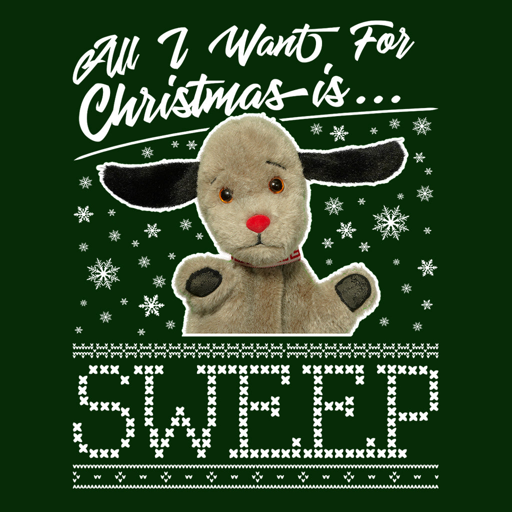 Sooty Christmas All I Want For Christmas Is Sweep Kids T-Shirt