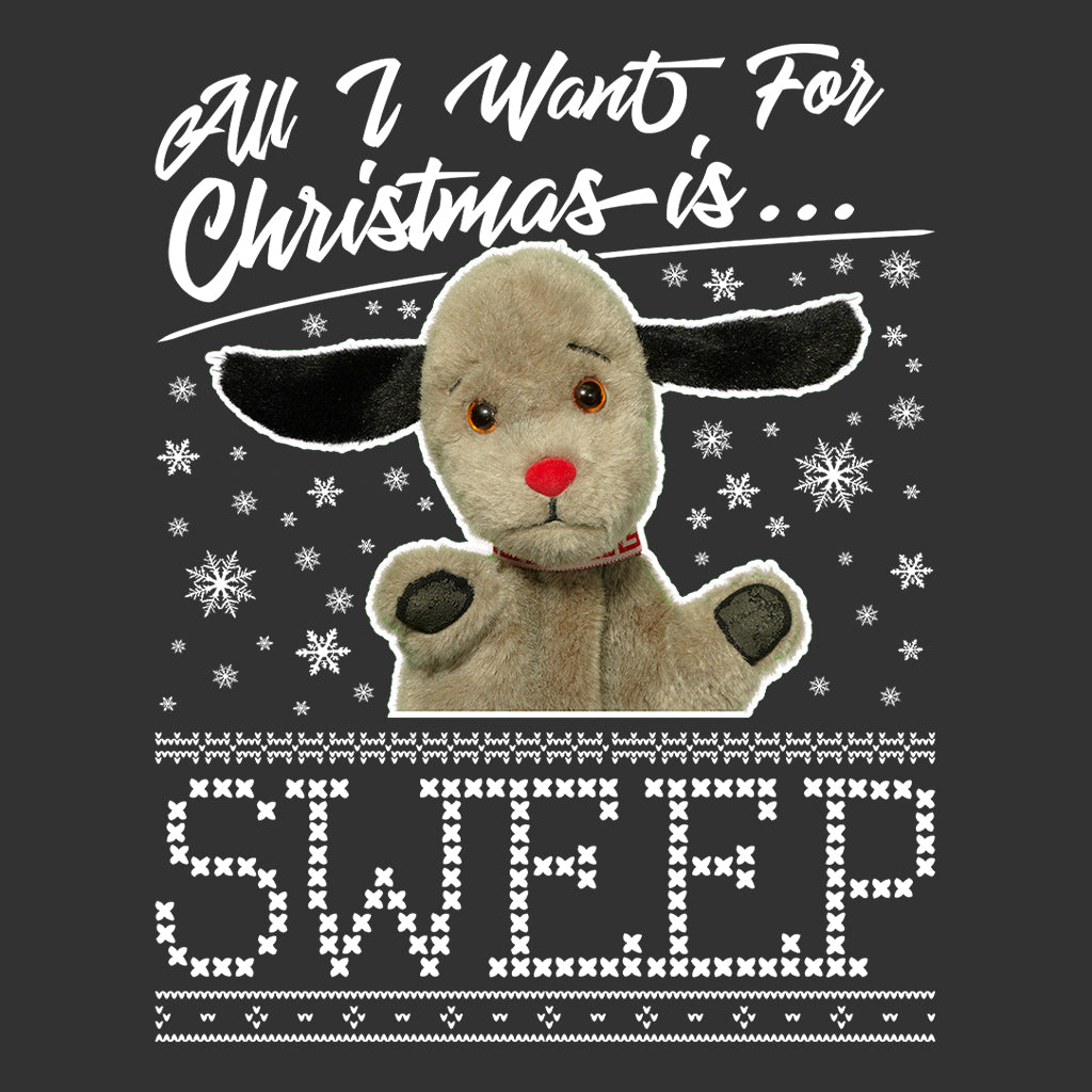 Sooty Christmas All I Want For Christmas Is Sweep Men's Sweatshirt