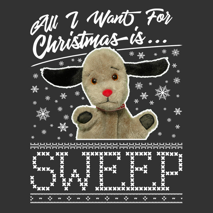Sooty Christmas All I Want For Christmas Is Sweep Men's Sweatshirt