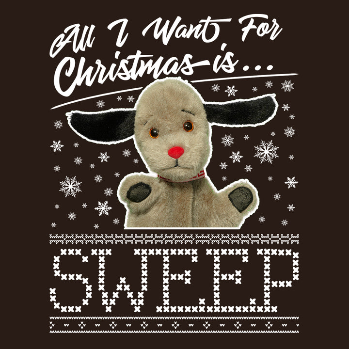 Sooty Christmas All I Want For Christmas Is Sweep Kids Hooded Sweatshirt