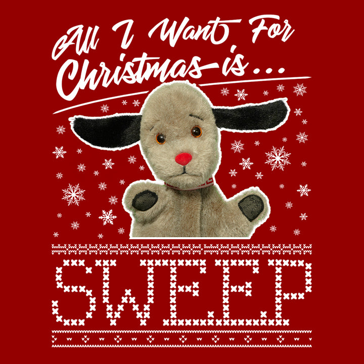 Sooty Christmas All I Want For Christmas Is Sweep Men's T-Shirt