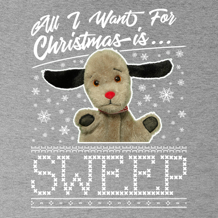 Sooty Christmas All I Want For Christmas Is Sweep Kids Hooded Sweatshirt