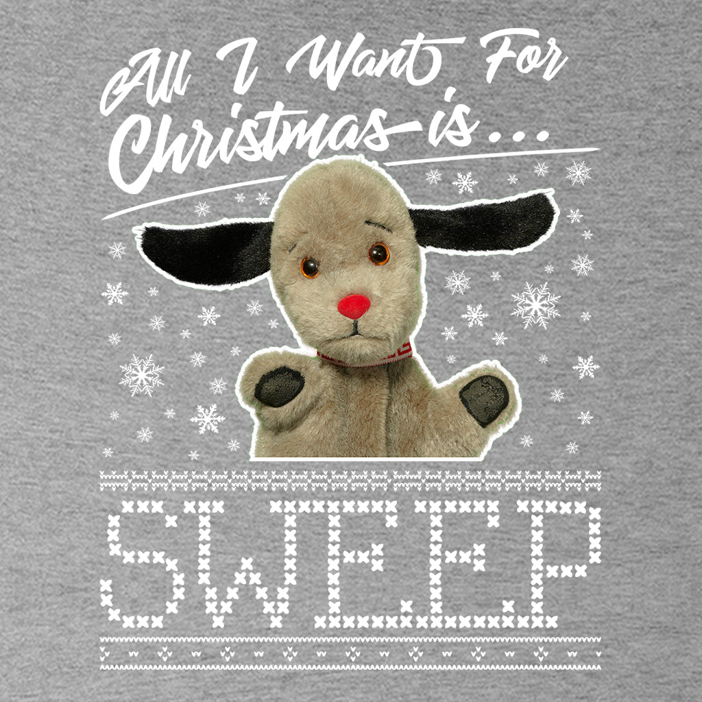 Sooty Christmas All I Want For Christmas Is Sweep Women's Hooded Sweatshirt