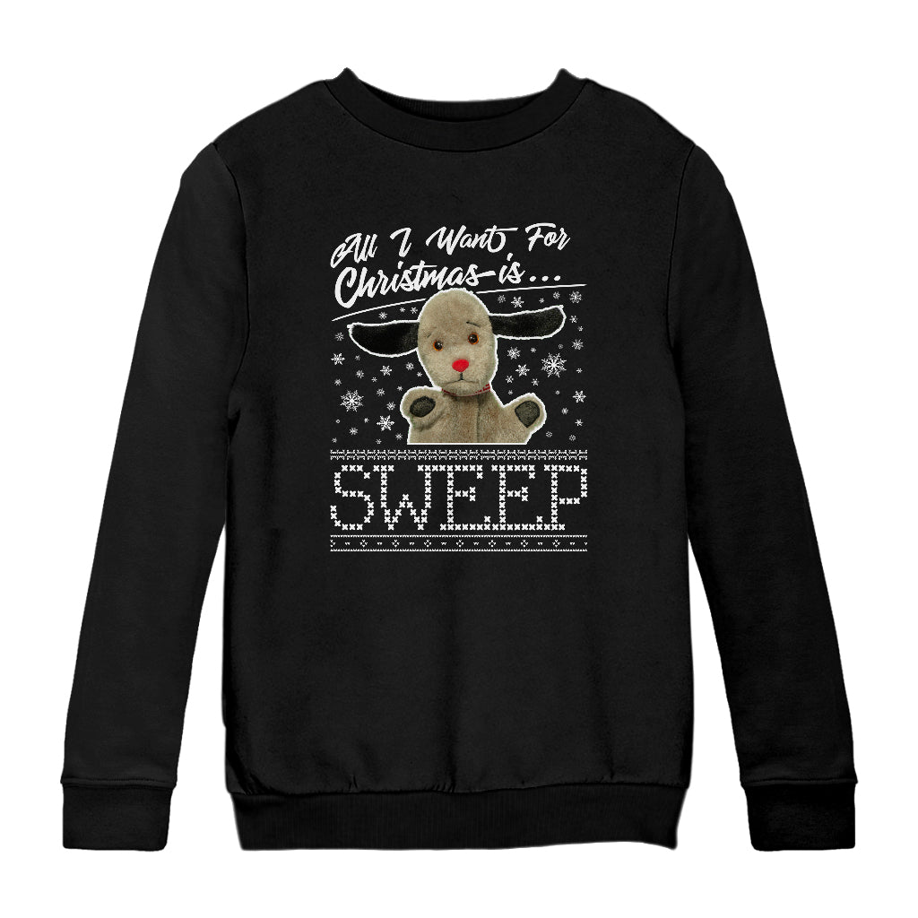 Sooty Christmas All I Want For Christmas Is Sweep Kids Sweatshirt