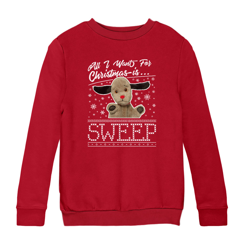 Sooty Christmas All I Want For Christmas Is Sweep Kids Sweatshirt