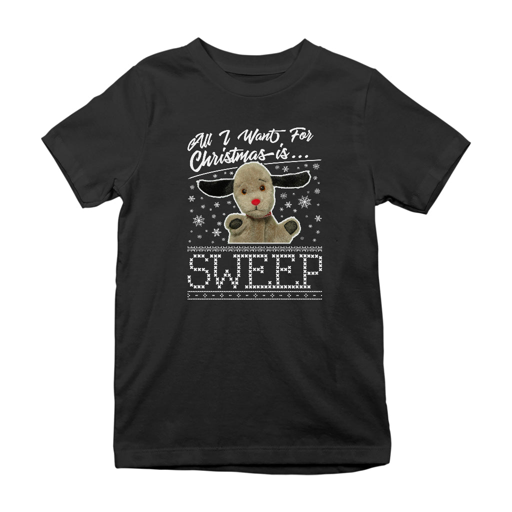 Sooty Christmas All I Want For Christmas Is Sweep Kids T-Shirt