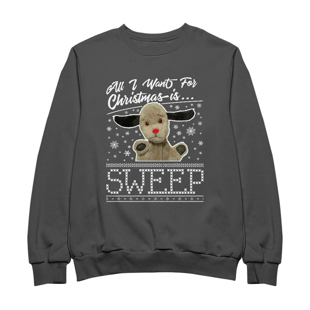 Sooty Christmas All I Want For Christmas Is Sweep Men's Sweatshirt