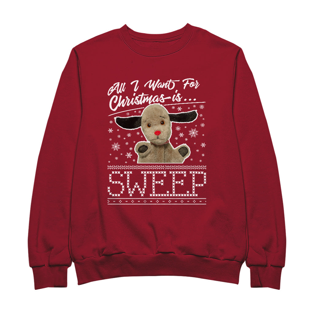 Sooty Christmas All I Want For Christmas Is Sweep Men's Sweatshirt
