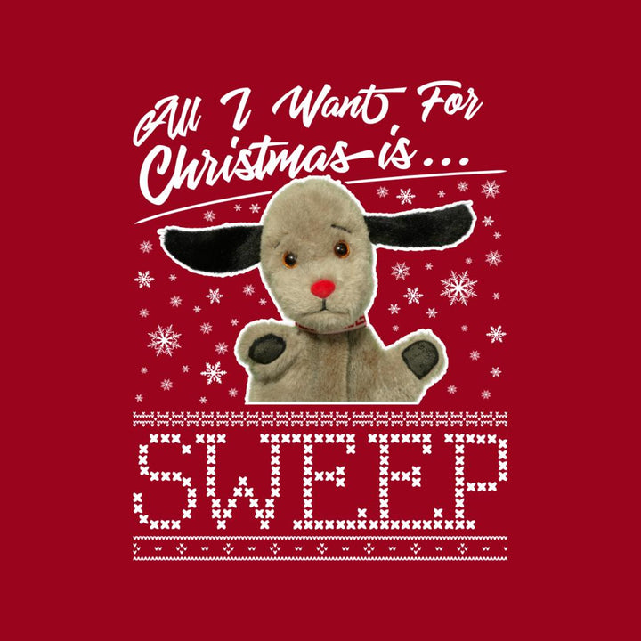 Sooty Christmas All I Want For Christmas Is Sweep Men's Hooded Sweatshirt-Sooty's Shop