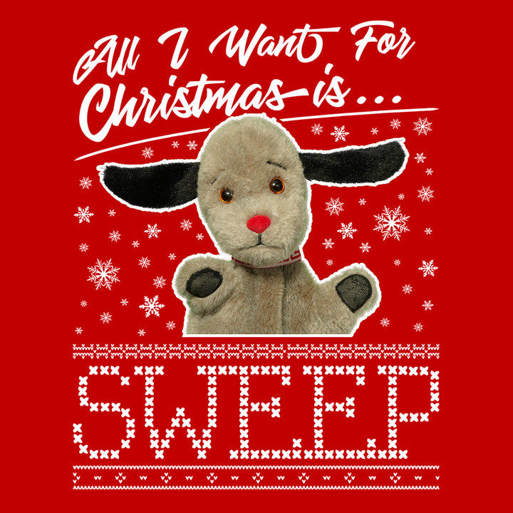 Sooty Christmas All I Want For Christmas Is Sweep Men's Varsity Jacket