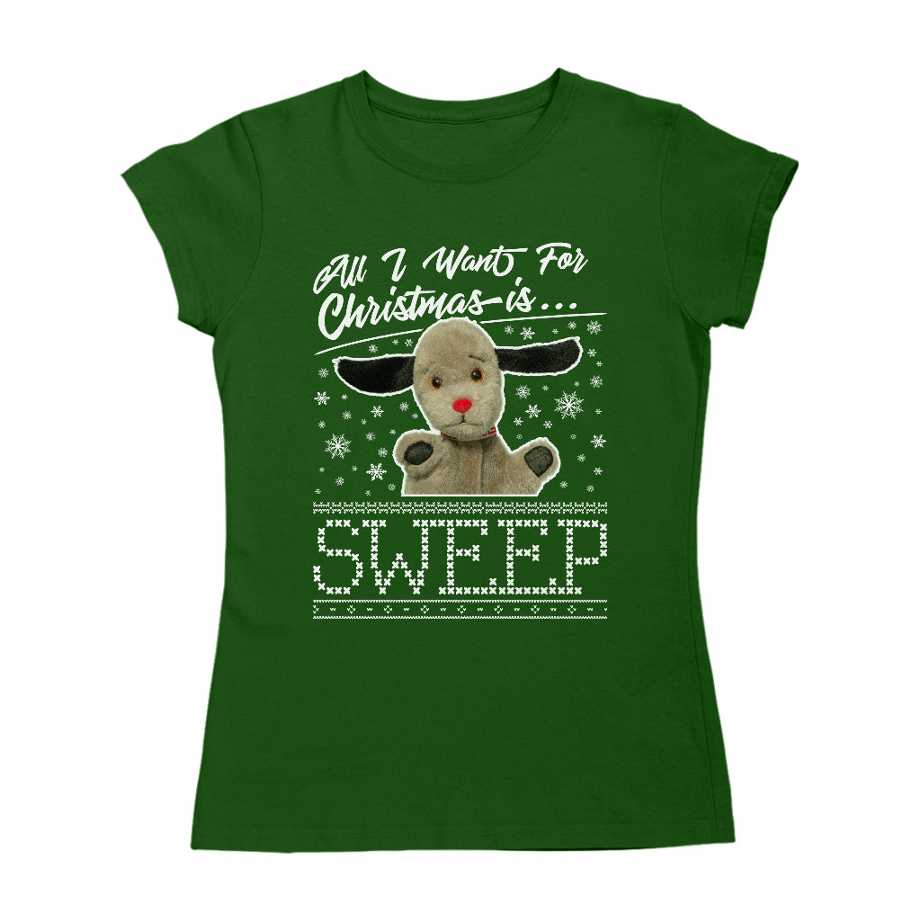Sooty Christmas All I Want For Christmas Is Sweep Women's T-Shirt