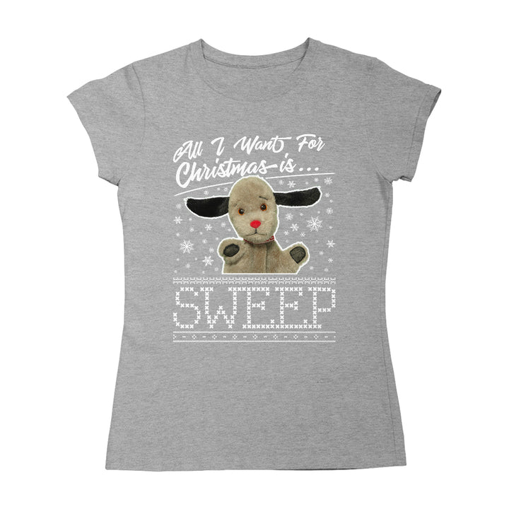 Sooty Christmas All I Want For Christmas Is Sweep Women's T-Shirt