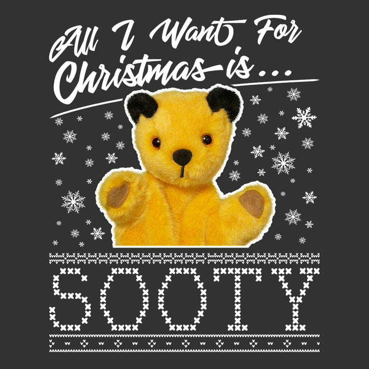 Sooty All I Want For Christmas Is Sooty Men's Hooded Sweatshirt