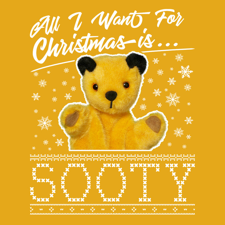 Sooty Christmas All I Want For Christmas Is Sooty Women's T-Shirt