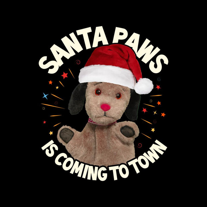 Sooty Christmas Sweep Santa Paws Is Coming To Town Kids T-Shirt